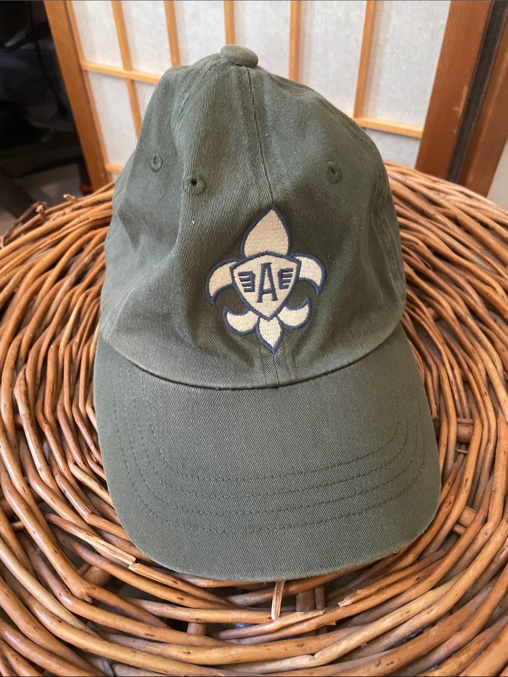 Y2K American Eagle Outfitters Olive Green Baseball Cap with Navy Label